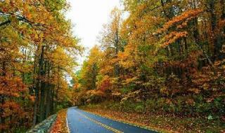 解落三秋叶的下一句是 解落三秋叶的下一句是